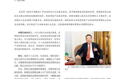 打破傳統(tǒng)走綠色轉(zhuǎn)型之路——訪十四屆全國人大代表、寶泰隆新材料股份有限公司董事長焦云