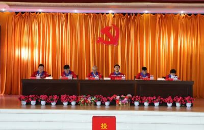 寶泰隆黨委換屆選舉黨員大會(huì)勝利召開(kāi)